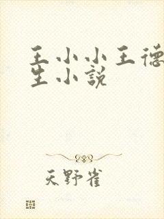 王小小王德发重生小说