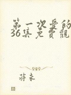 第一次爱的人第36集免费观看