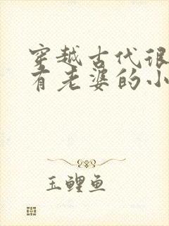 穿越古代很穷但有老婆的小说