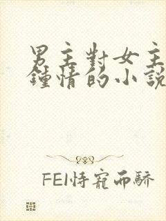 男主对女主一见钟情的小说校园文