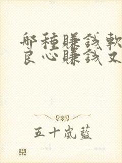 哪种赚钱软件最良心赚钱又多