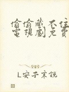 偷偷藏不住小说电视剧免费完整