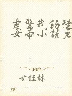 震惊我的徒弟是女帝小说免费在线阅读