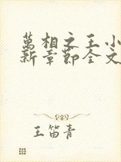 万相之王小说最新章节全文免费阅读