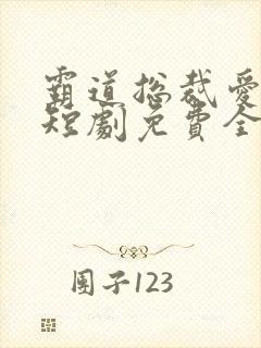霸道总裁爱上我短剧免费全集高清云