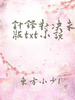 针锋对决未删减版txt小说