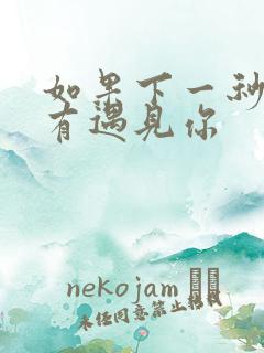 如果下一秒我没有遇见你