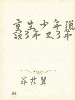 重生少年猎美小说3年又3年txt