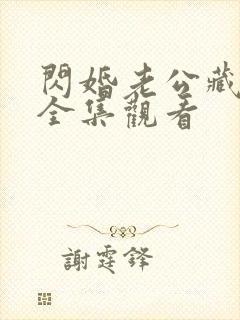 闪婚老公藏不住全集观看