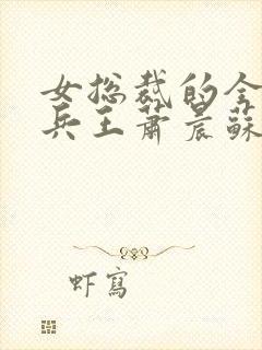 女总裁的全能型兵王萧晨苏晴