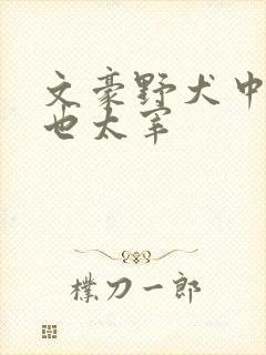文豪野犬中原中也太宰