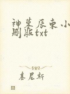 神墓辰东小说未删版txt