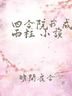 四合院我成了何雨柱 小说