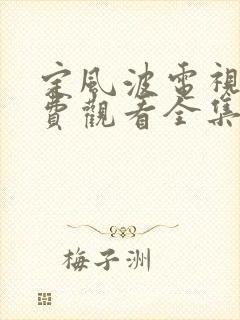 定风波电视剧免费观看全集高清下载