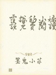 霍总的小娇妻小说免费阅读