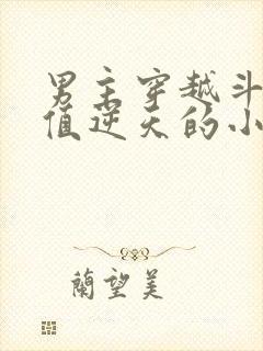 男主穿越斗罗颜值逆天的小说