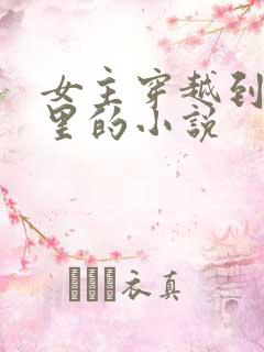 女主穿越到小说里的小说