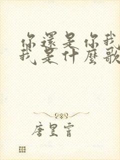 你还是你我还是我是什么歌的歌词