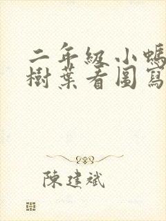 二年级小蚂蚁和树叶看图写话