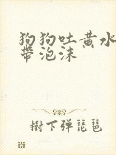 狗狗吐黄水粘稠带泡沫