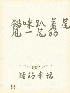 猫咪趴着尾巴一甩一甩的