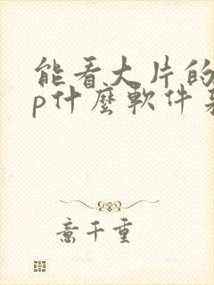 能看大片的app什么软件来着