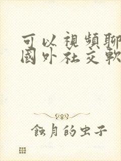 可以视频聊天的国外社交软件