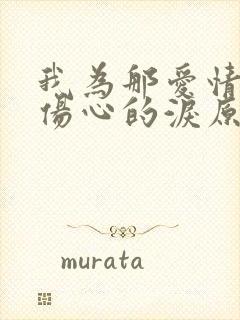 我为那爱情流下伤心的泪原唱