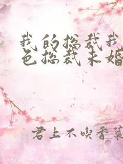 我的总裁我的绝色总裁未婚妻