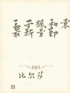 王子枫和袁雯洁最新章节