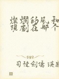 灿烂的风和海电视剧在哪个平台播放