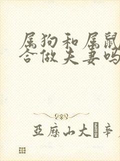 属狗和属鼠的适合做夫妻吗