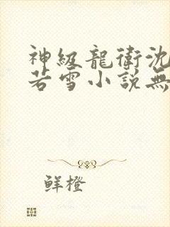 神级龙卫沈浪苏若雪小说无弹窗口