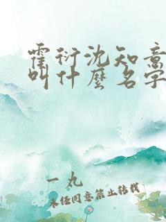 霍衍沈知意小说叫什么名字