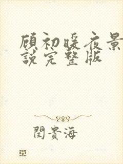 顾初暖夜景寒小说完整版
