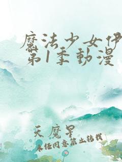 魔法少女伊莉雅 第1季动漫