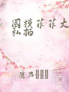 国模菲菲大尺度私拍