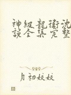 神级龙卫沈浪小说全集完整版