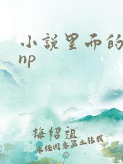 小说里面的高hnp