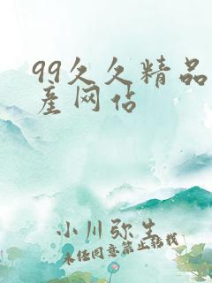 99久久精品国产网站