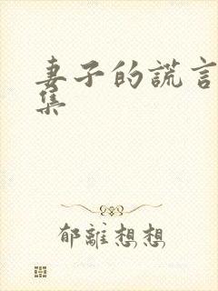 妻子的谎言20集