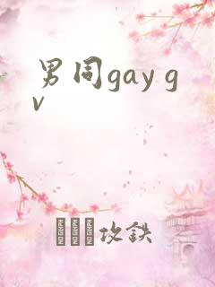 男同gay gv