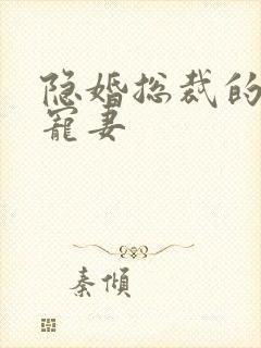 隐婚总裁的神秘宠妻