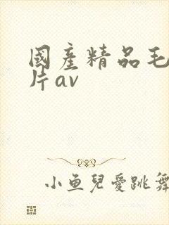 国产精品毛片淫片av