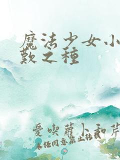 魔法少女小圆悲叹之种