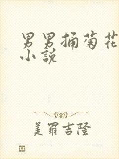 男男捅菊花调教小说