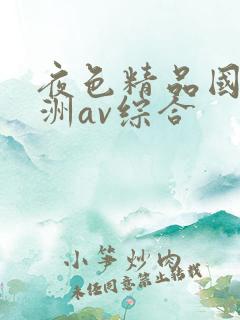 夜色精品国产亚洲av综合