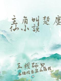 主角叫楚尘的修仙小说