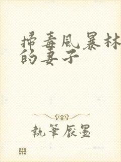 扫毒风暴林强峰的妻子