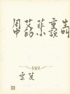 周艾菲重生回高中的小说叫什么